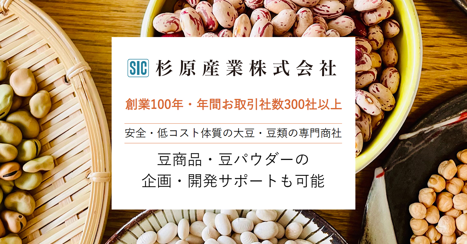 輸入レンズ豆 – 取扱品目 – 大豆・豆類の専門商社 杉原産業株式会社